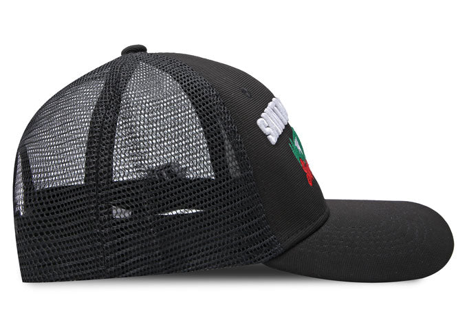 Imagen del producto 6